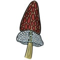 Fun Cartoon Mushroom Toadstool Character Vector Illustration Royalty Free Stock Photo