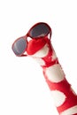 Fun colorful red sock puppet in sunglasses Royalty Free Stock Photo