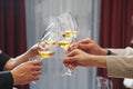 Fun company of people clink glasses, drinking white wine, focus on hands cheers, symbolizing celebration, drink Royalty Free Stock Photo