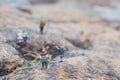 Fun concept of miniature hiker figure adventure in the rocks