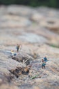 Fun concept of miniature hiker figure adventure in the rocks