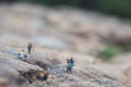 Fun concept of miniature hiker figure adventure in the rocks