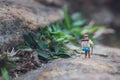 Fun concept of miniature hiker figure adventure in the rocks