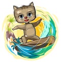 Fun cute Kitten goes in for sports on the water. Surf tube. Summer vacation in tropic ocean. Adventure and travel on