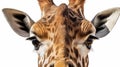 A fun and cute upside down portrait of a giraffe. Generative AI Royalty Free Stock Photo