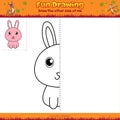 Mirror Drawing cartoon Rabbit