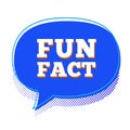 Fun fact speech bubble vector flat cartoon style Royalty Free Stock Photo