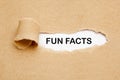 Fun Facts Torn Paper Concept