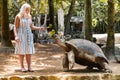 Fun family entertainment in Mauritius. a girl feeds a giant turtle at the Mauritius zoo