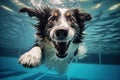 Fun-filled Dog swimming pool vacation. Generate Ai