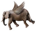 Fun Flying Elephant with Wings Isolated