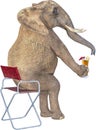 Funny Elephant, Fancy Drink, Isolated Royalty Free Stock Photo