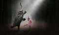 Dancing Elephant, Ballerina Dancer, Girl, Nature Royalty Free Stock Photo