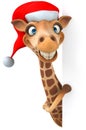 Fun giraffe Royalty Free Stock Photo