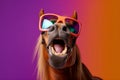 fun goggles animal colourful horse background looking sunglasses funny portrait smile. Generative AI.