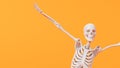 Fun halloween dancing skeleton character. 3D Rendering