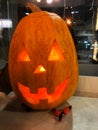 Halloween pumpkin head jack lantern on wooden table background Royalty Free Stock Photo