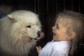Fun kid child kind puppy dog domestic animal care concept animal love care friendship kindness