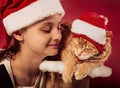 Fun kid girl playing the orange maine coon cat in christmas santa claus cap  on red background. Closeup portrait Royalty Free Stock Photo