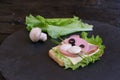 Fun Kids sandwich in the form of a cute kitten. Original creative serving