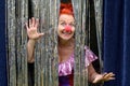 Fun loving woman in a red clown nose Royalty Free Stock Photo