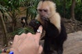 Fun With Monkeys !!! Monkey Joy !!!