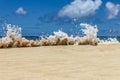 Fun Ocean wave splash up on the beach Royalty Free Stock Photo