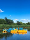 Fun Paddle Boats, Flushing Meadows Lake, Queens Royalty Free Stock Photo