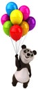 Fun panda Royalty Free Stock Photo