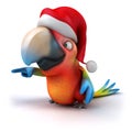 Fun parrot Royalty Free Stock Photo