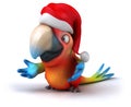 Fun parrot Royalty Free Stock Photo