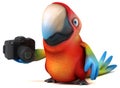Fun parrot Royalty Free Stock Photo