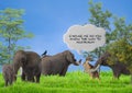 Part illustration of Two elephants kangaroo  and birds with trees and plants Royalty Free Stock Photo