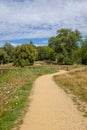 A fun pathway to follow, Hampstead Heath, Uk