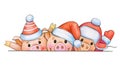 Fun pig cartoons in Christmas hats.