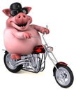 Fun pig - 3D Illustration Royalty Free Stock Photo