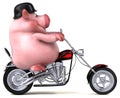 Fun pig - 3D Illustration Royalty Free Stock Photo
