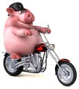 Fun pig - 3D Illustration Royalty Free Stock Photo
