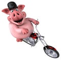 Fun pig - 3D Illustration Royalty Free Stock Photo