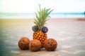 Fun Pineapple and Coconuts Wearing Sunglasses Enjoying Relaxing