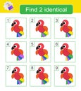 Fun puzzle game. Find two identical parrots. Task for development of attention and logic Royalty Free Stock Photo