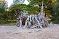 Fun Shelter On The Beach Made Of Driftwood And Palm Leaves Royalty Free Stock Photo