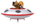 Fun squirrel Royalty Free Stock Photo