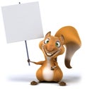 Fun squirrel Royalty Free Stock Photo
