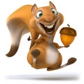 Fun squirrel Royalty Free Stock Photo