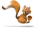 Fun squirrel Royalty Free Stock Photo