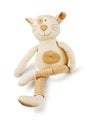 Fun toy cat Royalty Free Stock Photo