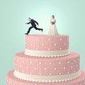 Fun at wedding Royalty Free Stock Photo
