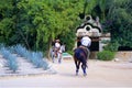 X Caret park in Mexico