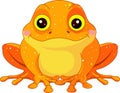 Fun zoo. Golden Toad